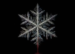 Festival de Sitges 2019: "The Lodge", madre intrusa