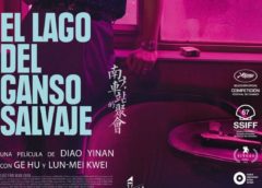 El lago del ganso salvaje, el lado oscuro de China